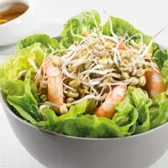 Sublimez vos salades : recettes faciles de pousses de haricot mungo