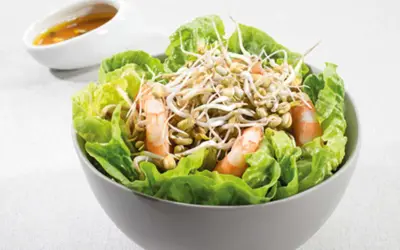 Sublimez vos salades : recettes faciles de pousses de haricot mungo