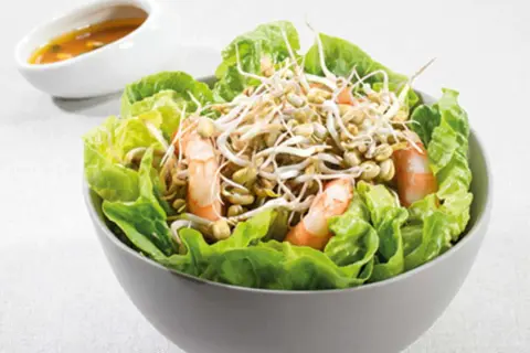 Sublimez vos salades : recettes faciles de pousses de haricot mungo
