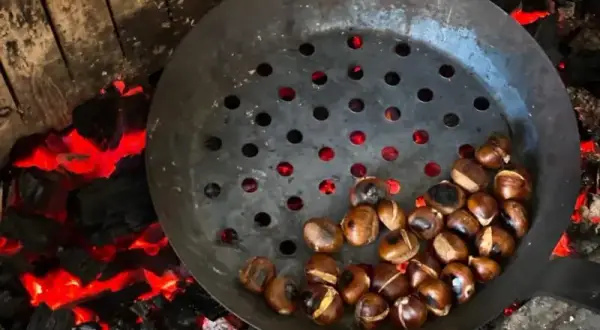 Châtaignes grillées au feu de bois : Le secret d'une cuisson parfaite