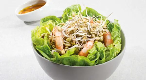 Sublimez vos salades : recettes faciles de pousses de haricot mungo